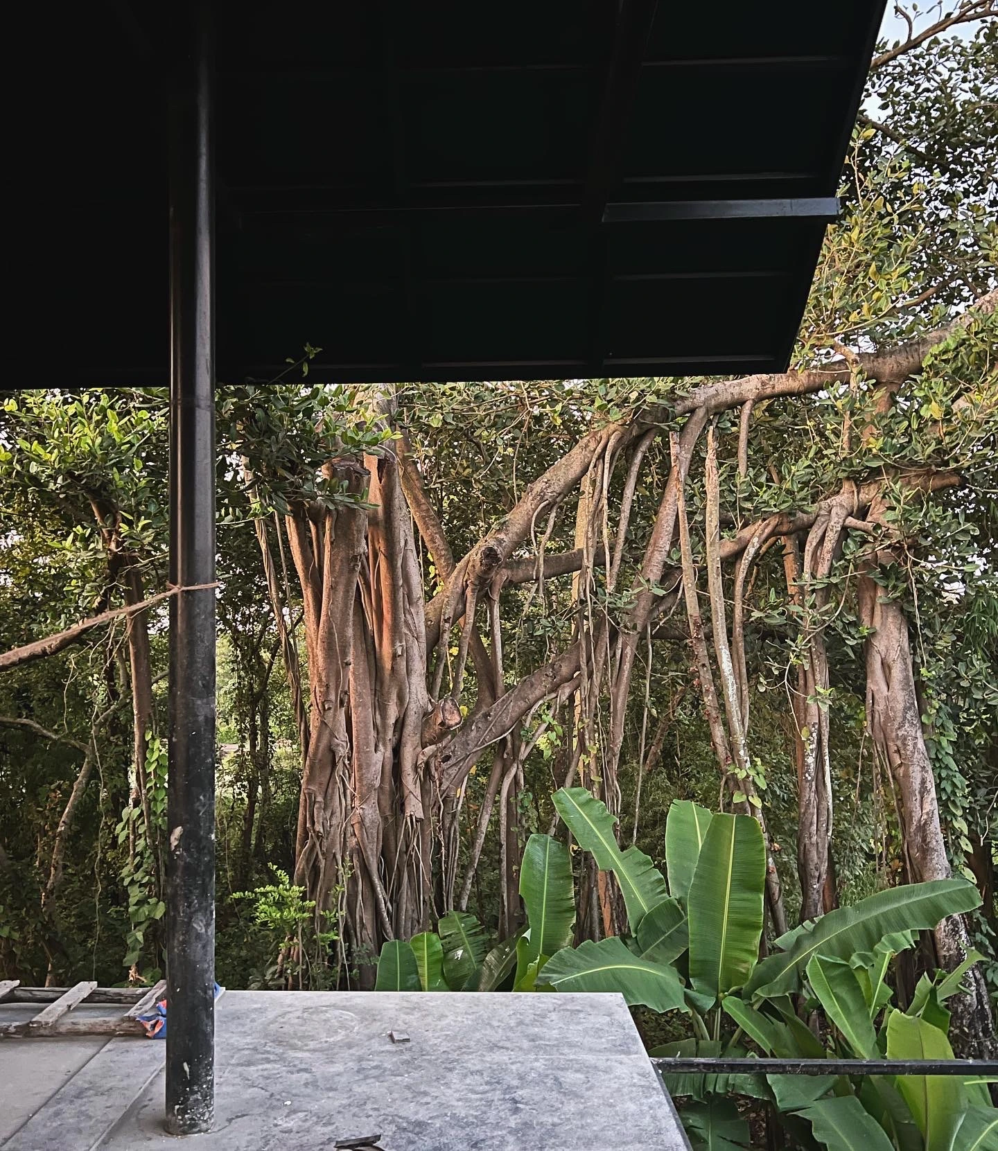 Dream House 03